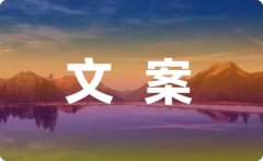 龄人忙于事业、逃逐驰名利时