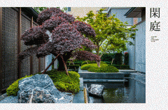 不要错一罕见的机缘