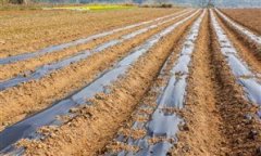 相关人员亲近共同