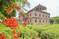 市新塘街道处事处副从任、梧林保守村子项目办